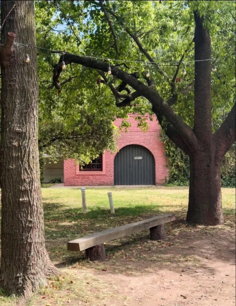 Screenshot_20260123_155958_Mercado Libre