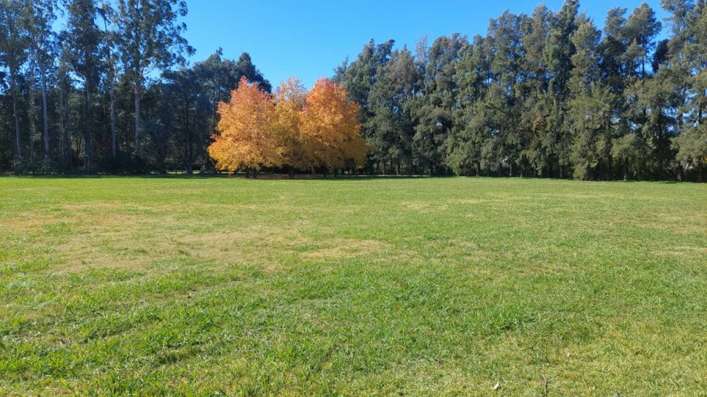 IMG-20260508-WA0032