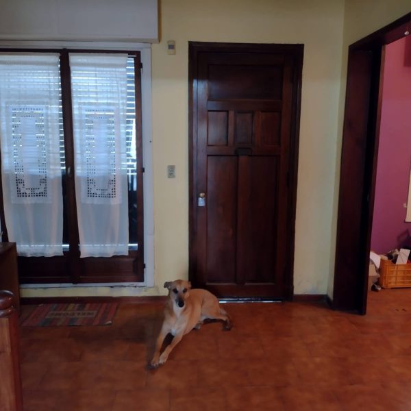 IMG-20251013-WA0048