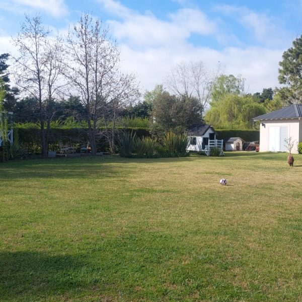 IMG-20260916-WA0053